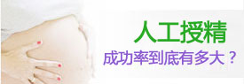 漯河人工授精成功几率