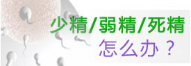 漯河少精弱精死精怎么办